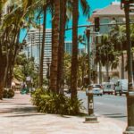 Florida health, pet insurance, billing laws take effect Jan. 1