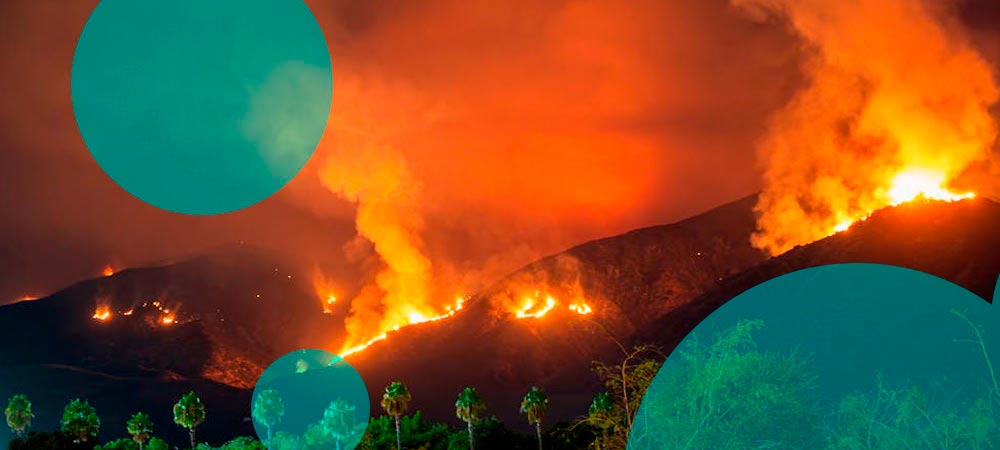 Insurers paid $22.4 bn on wildfire claims tied to the Los Angeles wildfires